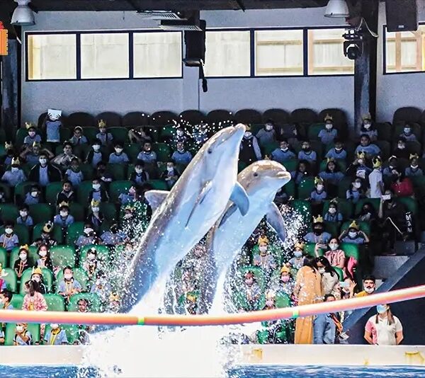 Dubai Dolphinarium
